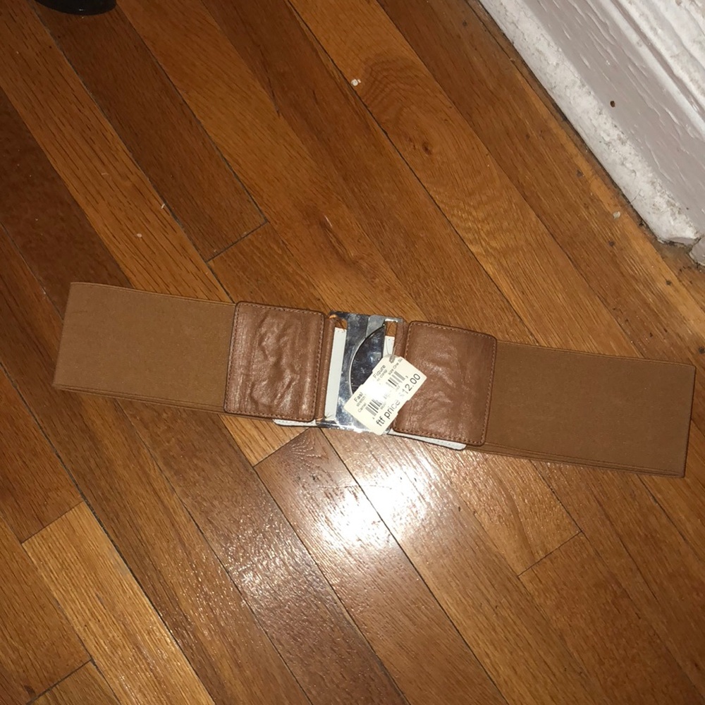 Fashion to Figure Belt
